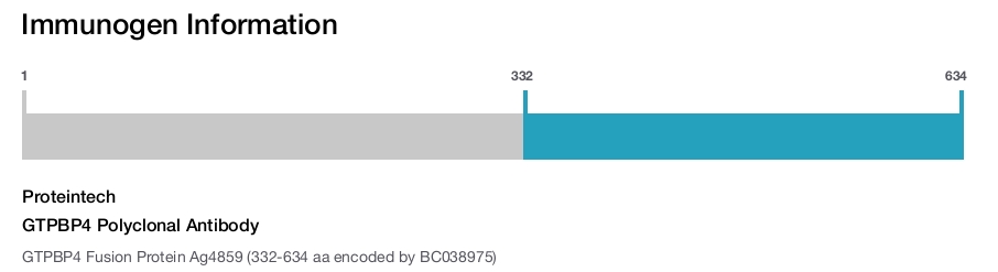 GTPBP4 Polyclonal Antibody