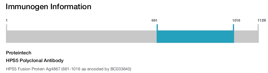 HPS5 Polyclonal Antibody