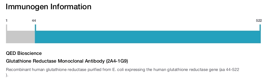 Glutathione Reductase Monoclonal Antibody (2A4-1G9)