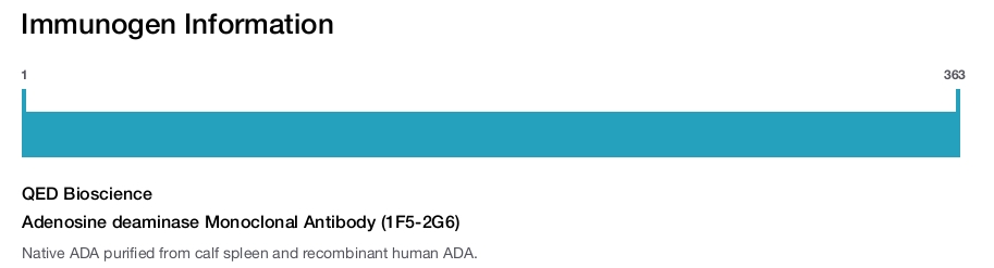 Adenosine deaminase Monoclonal Antibody (1F5-2G6)