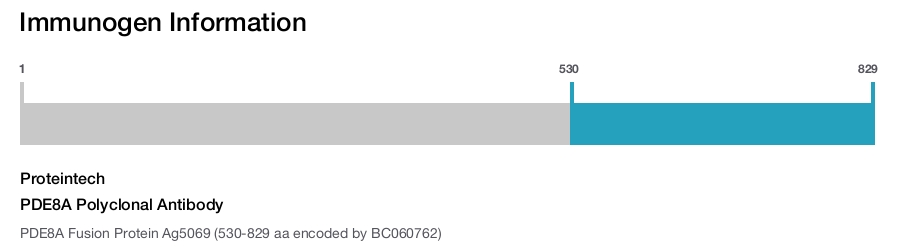 PDE8A Polyclonal Antibody