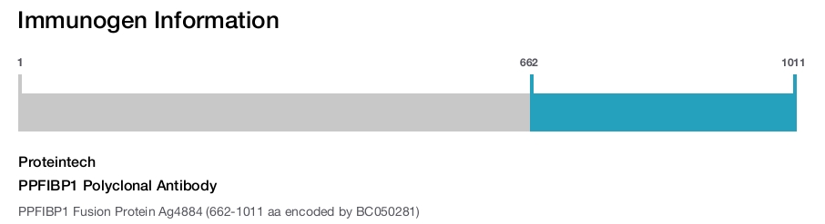 PPFIBP1 Polyclonal Antibody