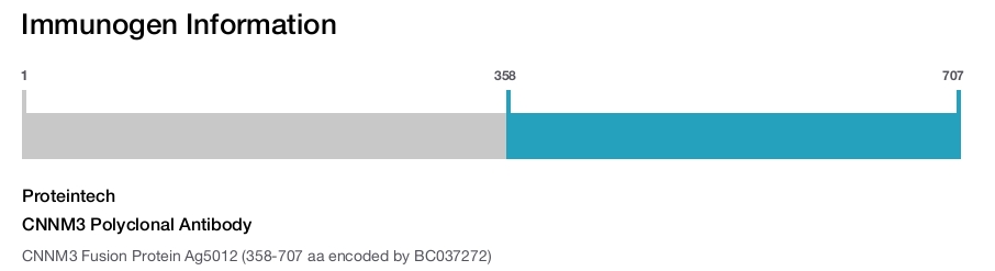 CNNM3 Polyclonal Antibody