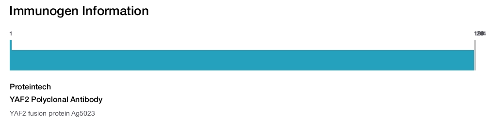 YAF2 Polyclonal Antibody
