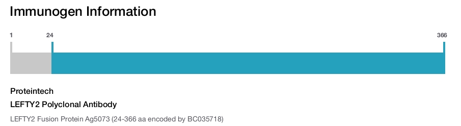 LEFTY2 Polyclonal Antibody