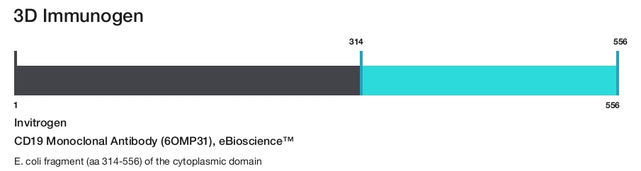 CD19 Monoclonal Antibody (6OMP31), eBioscience&trade;
