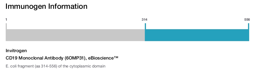 CD19 Monoclonal Antibody (6OMP31), eBioscience™