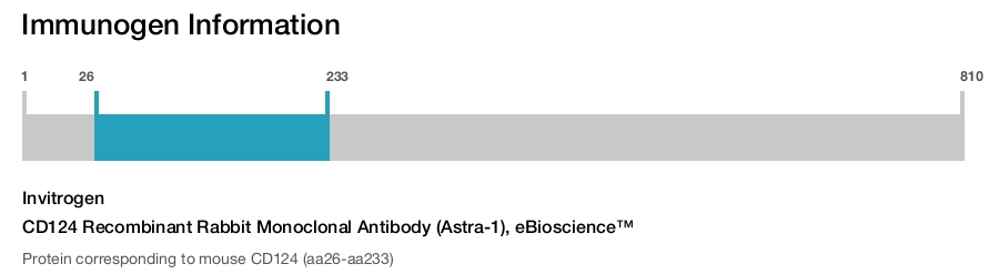 CD124 Recombinant Rabbit Monoclonal Antibody (Astra-1), eBioscience™