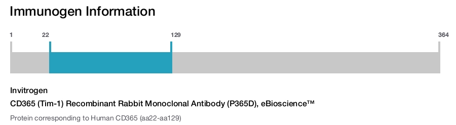 CD365 (Tim-1) Recombinant Rabbit Monoclonal Antibody (P365D), eBioscience™