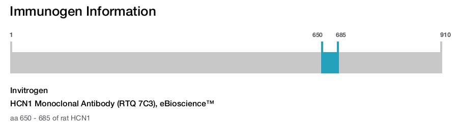 HCN1 Monoclonal Antibody (RTQ 7C3), eBioscience™