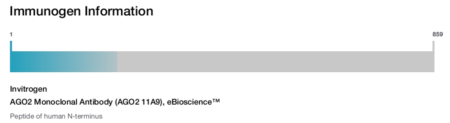 AGO2 Monoclonal Antibody (AGO2 11A9), eBioscience™