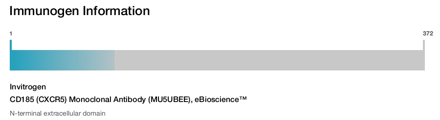 CD185 (CXCR5) Monoclonal Antibody (MU5UBEE), eBioscience™