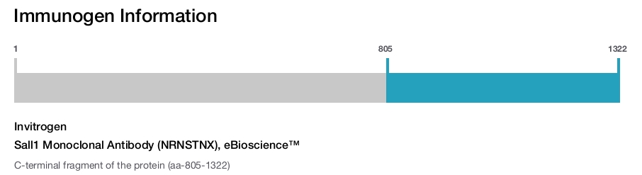 Sall1 Monoclonal Antibody (NRNSTNX), eBioscience™