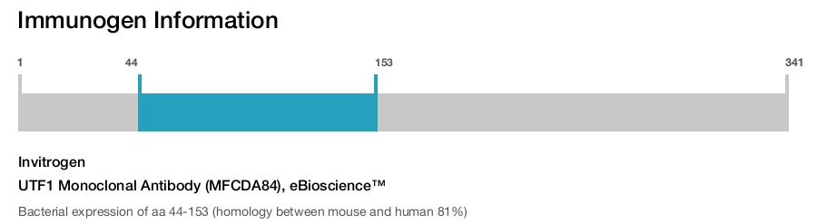 UTF1 Monoclonal Antibody (MFCDA84), eBioscience™