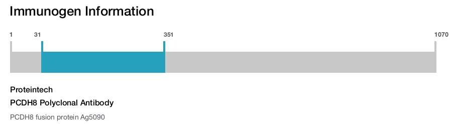 PCDH8 Polyclonal Antibody