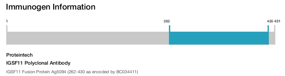 IGSF11 Polyclonal Antibody
