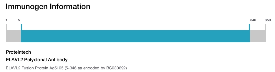 ELAVL2 Polyclonal Antibody