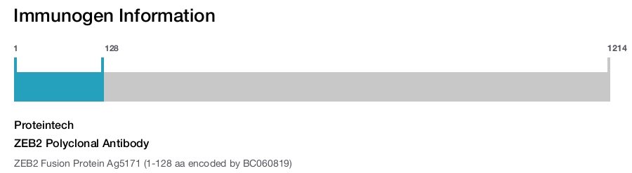 ZEB2 Polyclonal Antibody