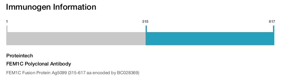 FEM1C Polyclonal Antibody