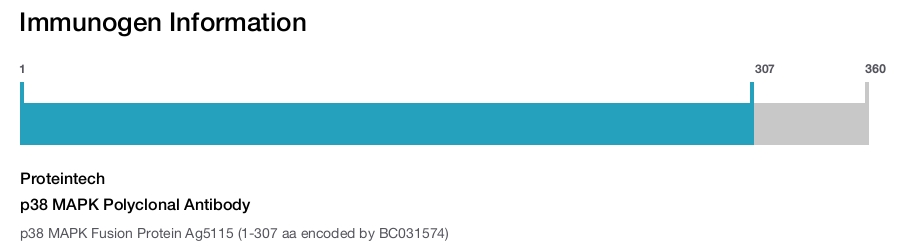 p38 MAPK Polyclonal Antibody
