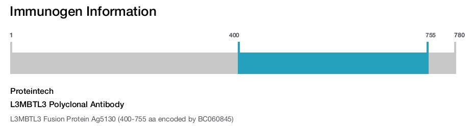 L3MBTL3 Polyclonal Antibody