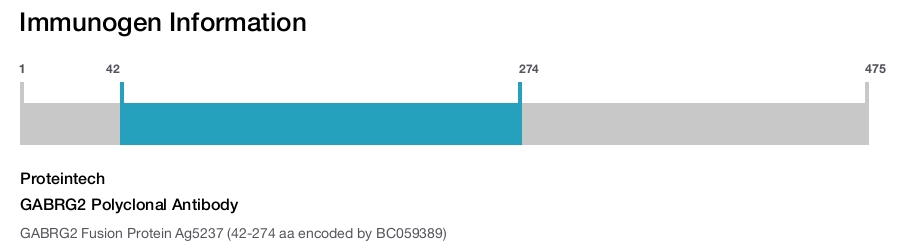 GABRG2 Polyclonal Antibody