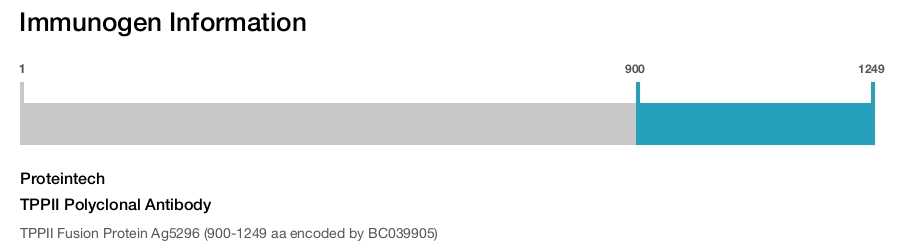 TPPII Polyclonal Antibody
