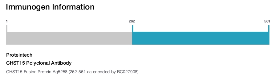 CHST15 Polyclonal Antibody