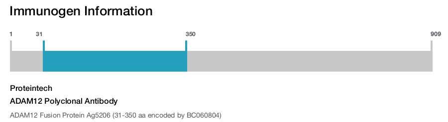 ADAM12 Polyclonal Antibody