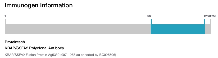 KRAP/SSFA2 Polyclonal Antibody