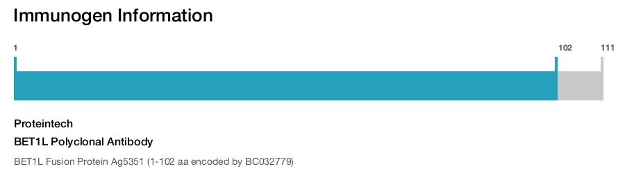 BET1L Polyclonal Antibody