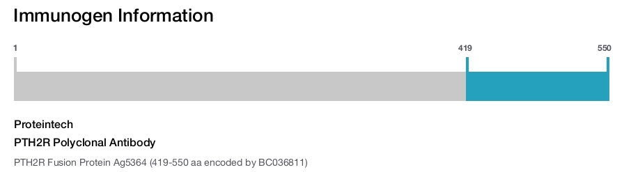 PTH2R Polyclonal Antibody