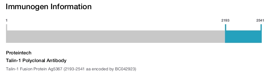 Talin-1 Polyclonal Antibody