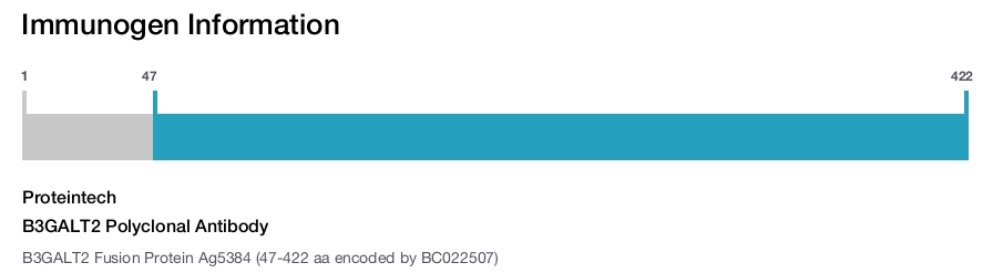 B3GALT2 Polyclonal Antibody