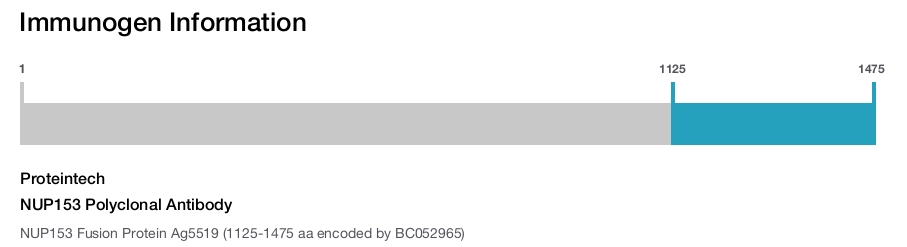 NUP153 Polyclonal Antibody