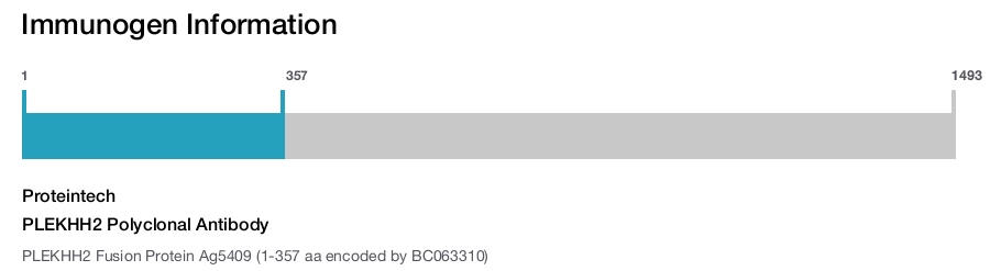 PLEKHH2 Polyclonal Antibody