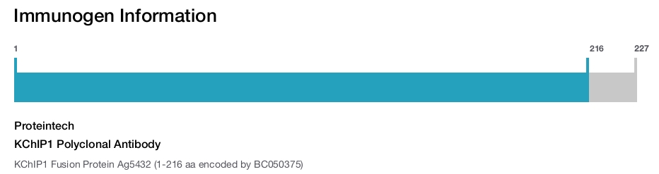 KChIP1 Polyclonal Antibody
