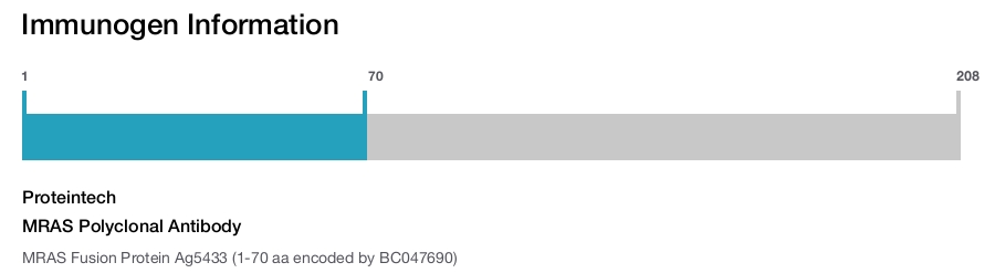 MRAS Polyclonal Antibody