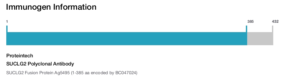 SUCLG2 Polyclonal Antibody