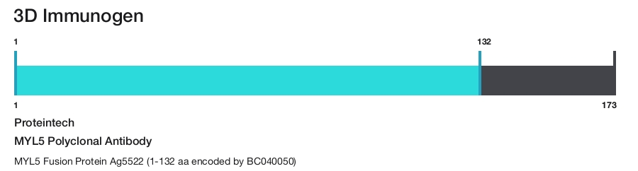 MYL5 Polyclonal Antibody