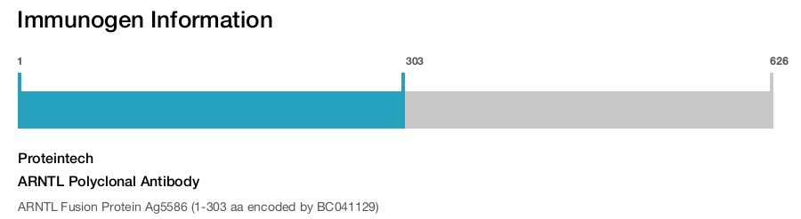 ARNTL Polyclonal Antibody