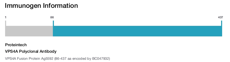 VPS4A Polyclonal Antibody