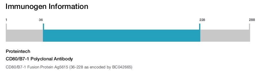 CD80/B7-1 Polyclonal Antibody