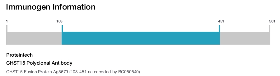 CHST15 Polyclonal Antibody