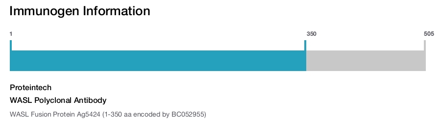 WASL Polyclonal Antibody