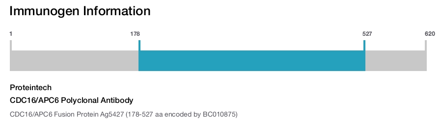 CDC16/APC6 Polyclonal Antibody