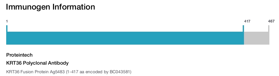 KRT36 Polyclonal Antibody