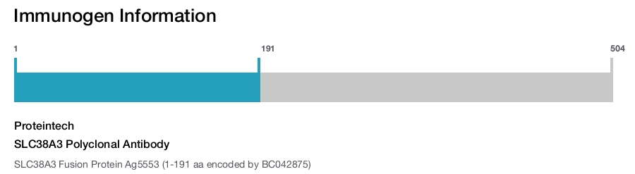 SLC38A3 Polyclonal Antibody