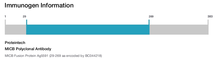 MICB Polyclonal Antibody