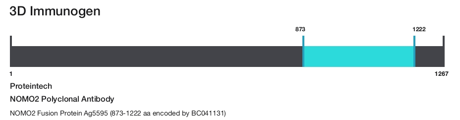 NOMO2 Polyclonal Antibody